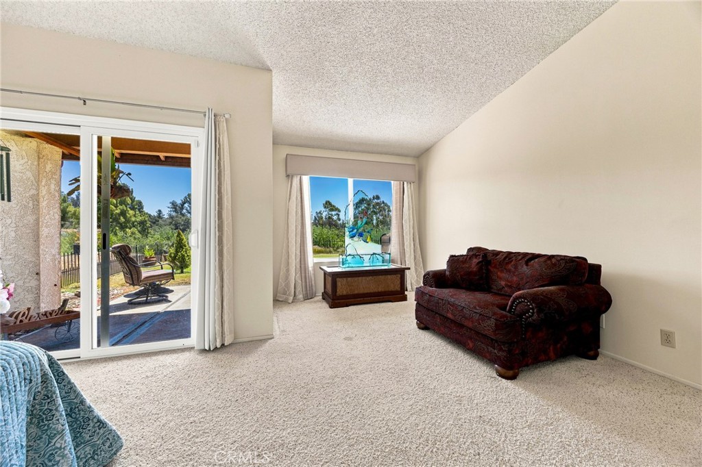 1363 Black Sage Property Photo 14