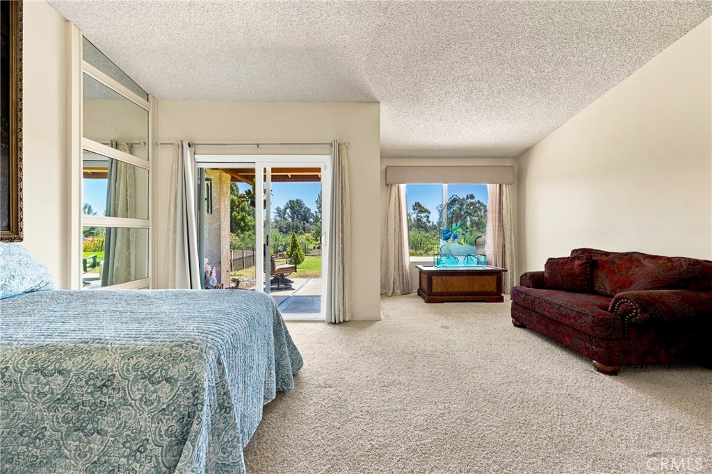 1363 Black Sage Property Photo 15