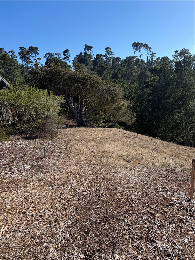 3123 Rogers Property Photo 1