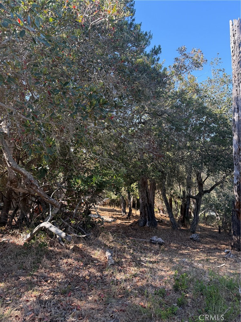 0 Melrose Property Photo 1