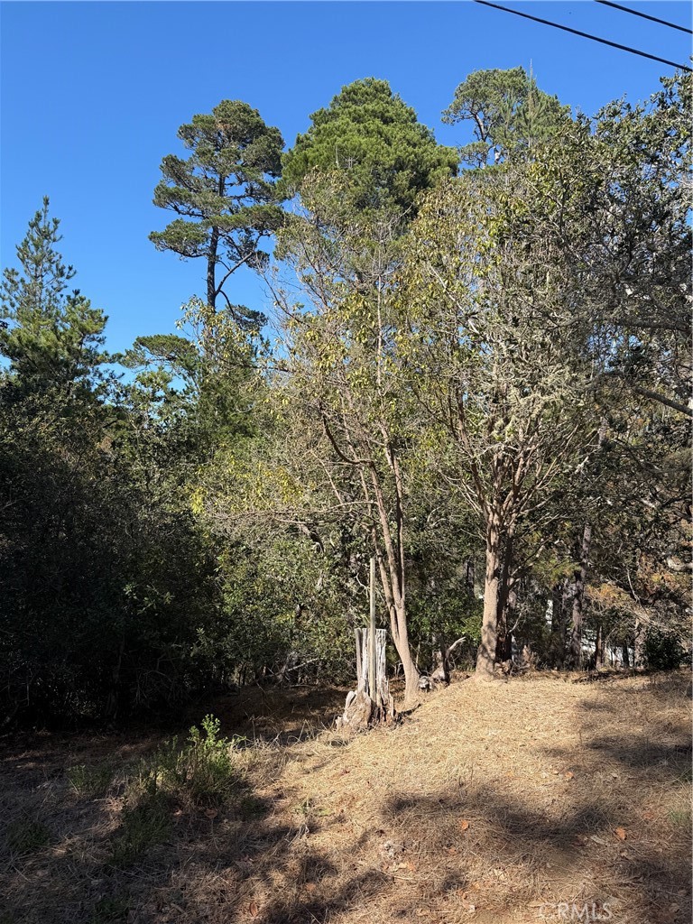 0 Melrose Property Photo 2