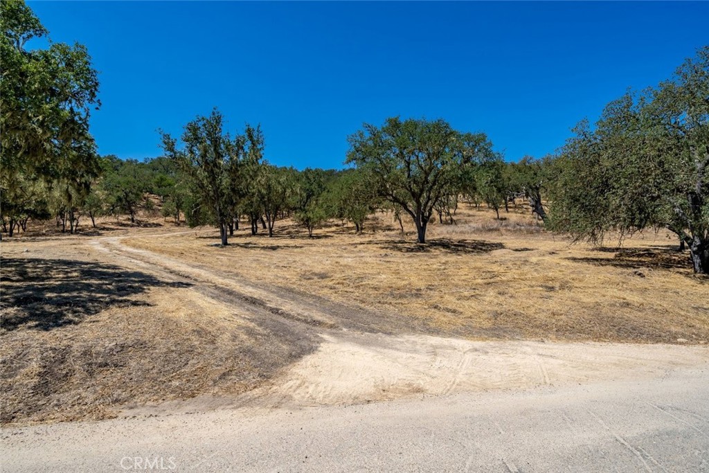 835 Spring Creek Way Property Photo 11