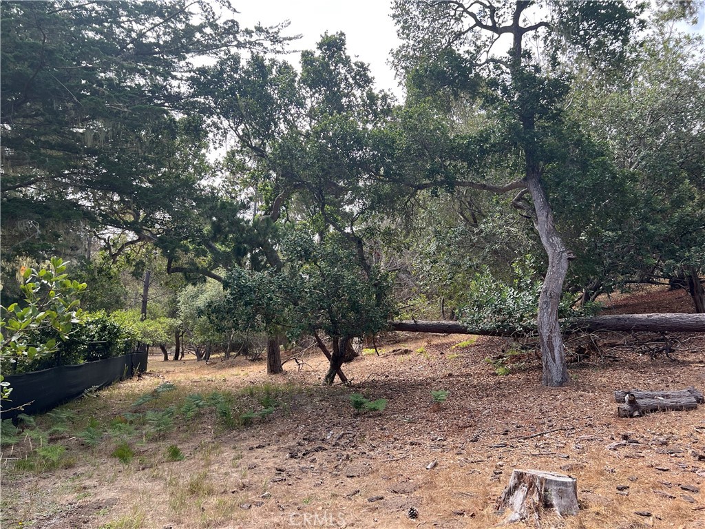 1280 Warren Road Property Photo 1