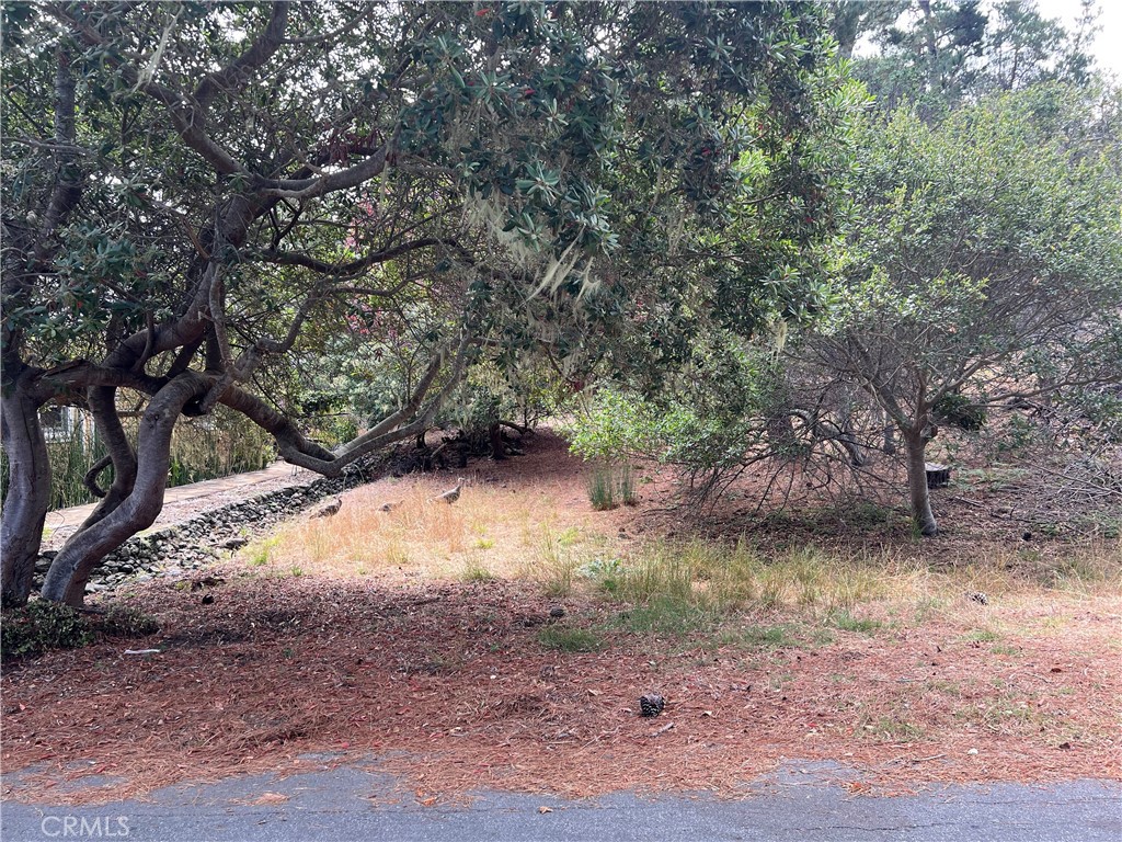 1280 Warren Road Property Photo 3