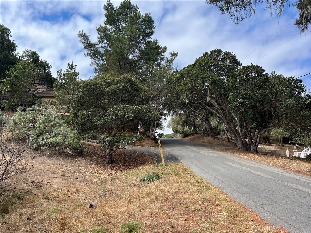 1280 Warren Road Property Photo 4