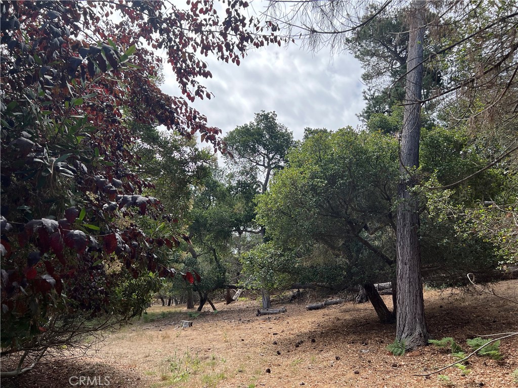 1280 Warren Road Property Photo 7