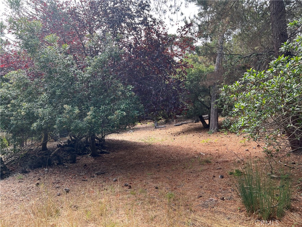 1280 Warren Road Property Photo 8