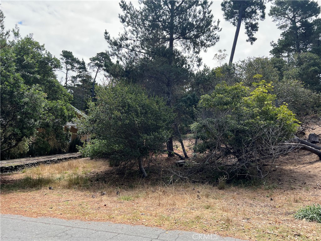 1280 Warren Road Property Photo 12