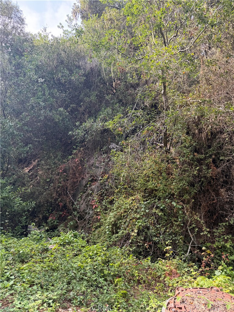 0 Sheffield Street Property Photo 1
