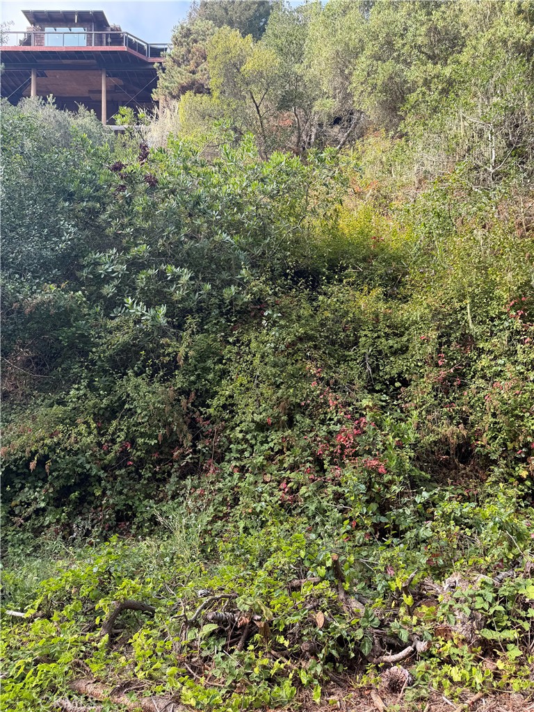 0 Sheffield Property Photo 1