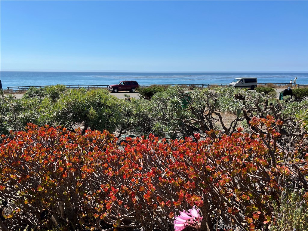 5978 Moonstone Beach Drive Property Photo 9