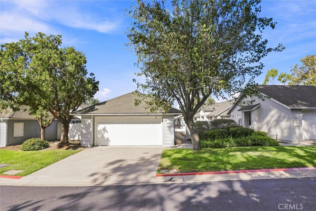 842 Alyssum Court Property Photo 3