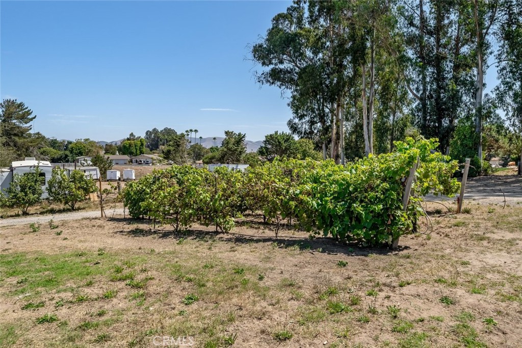 1497 La Quinta Drive Property Photo 32