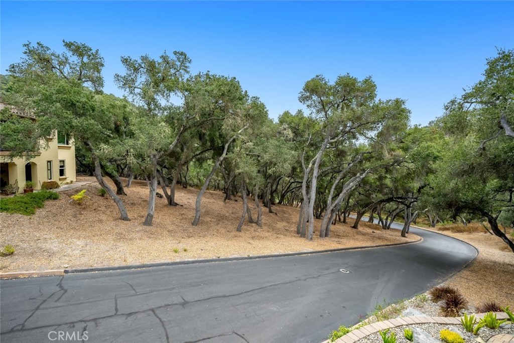 2940 Night Hawk Way Property Photo 11