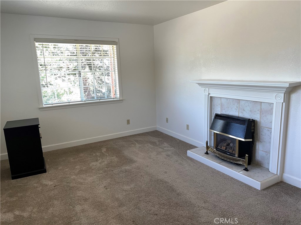 1475 Spencer Street Property Photo 54
