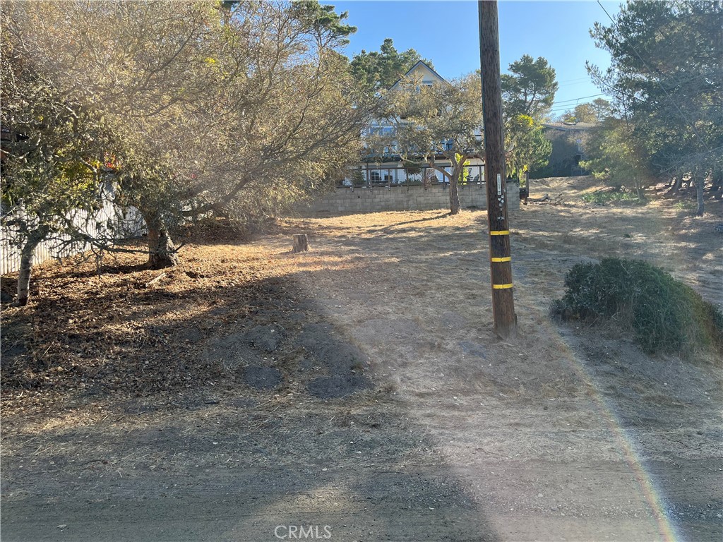 13 Tweed Avenue Property Photo 1