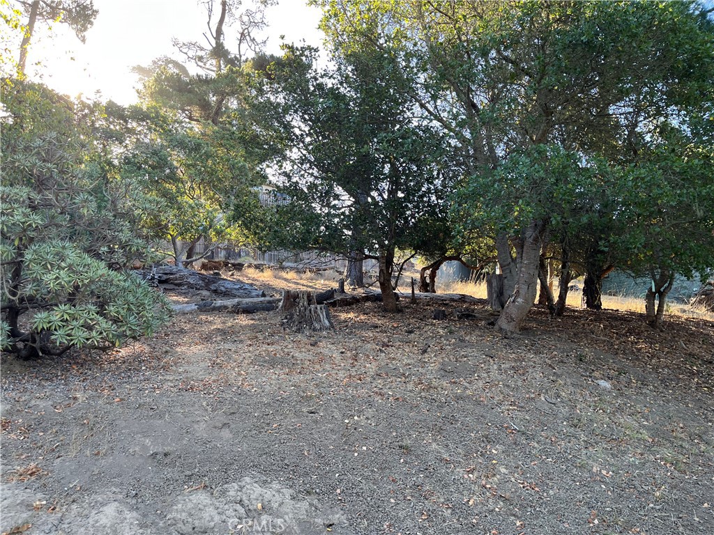 1670 Burton Drive Property Photo 1