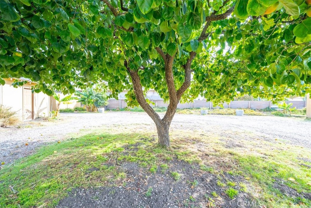 4115 Vachell Property Photo 46