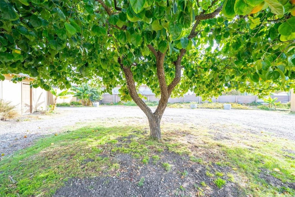 4115 Vachell Property Photo 46