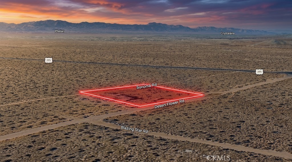 10675 Desert Flower Road Property Photo 3