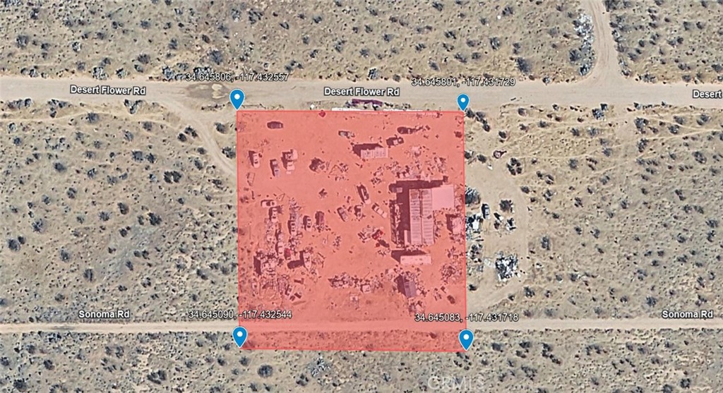 10675 Desert Flower Road Property Photo 5