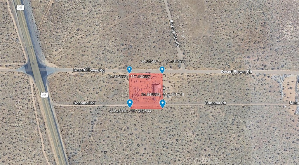 10675 Desert Flower Road Property Photo 6