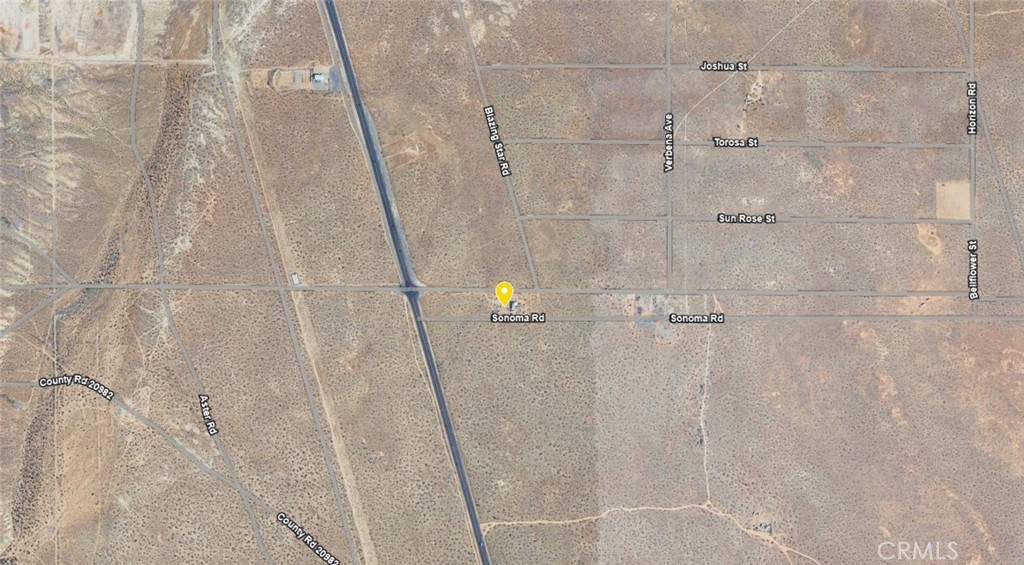 10675 Desert Flower Road Property Photo 7