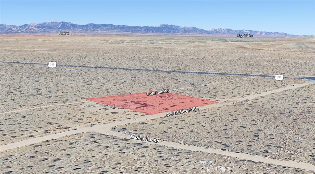10675 Desert Flower Road Property Photo 15