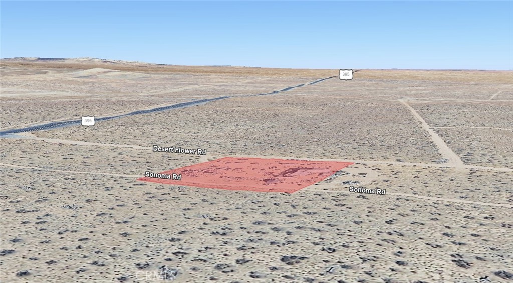 10675 Desert Flower Road Property Photo 16