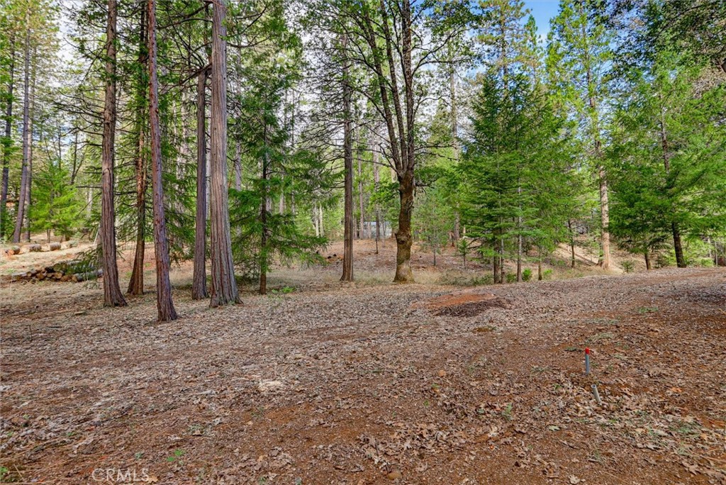 18324 Nubian Way Property Photo 63