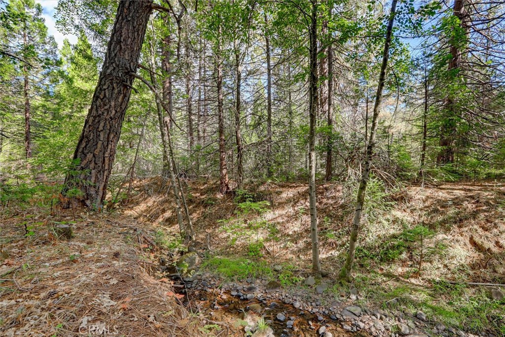 18324 Nubian Way Property Photo 69
