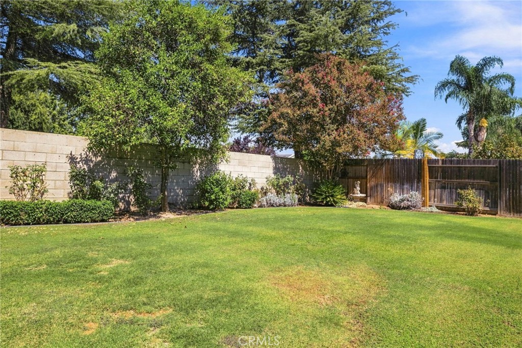 10604 Victoria Falls Avenue Property Photo 37