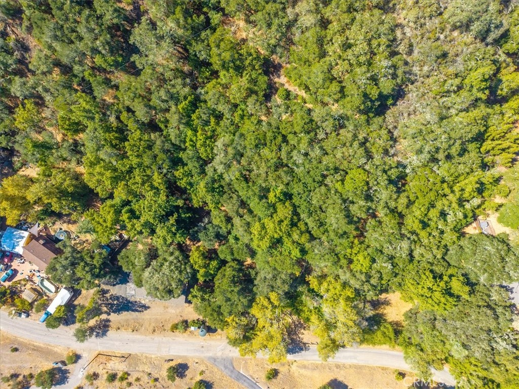 6205 Toro Creek Road Property Photo 3