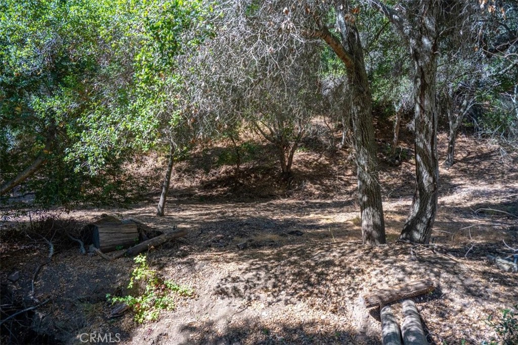 6205 Toro Creek Road Property Photo 9