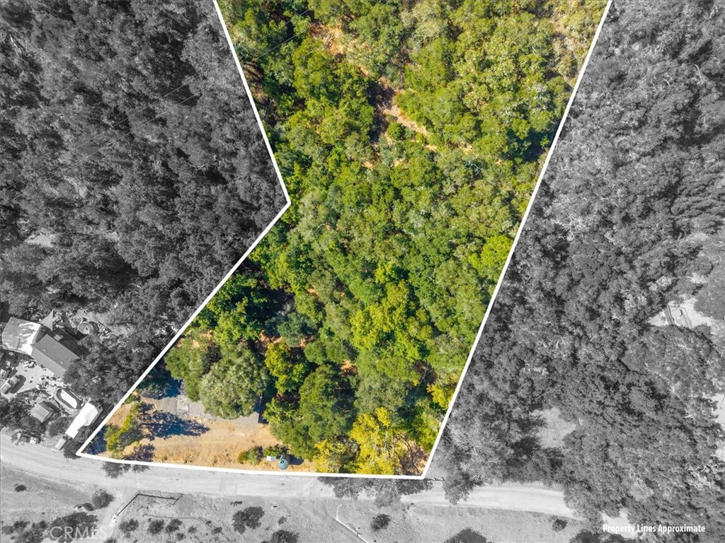 6205 Toro Creek Road Property Photo 22