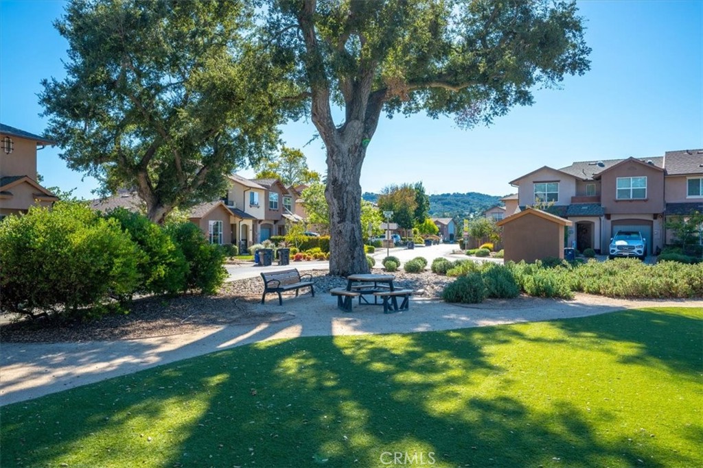 5566 Madrono Property Photo 36