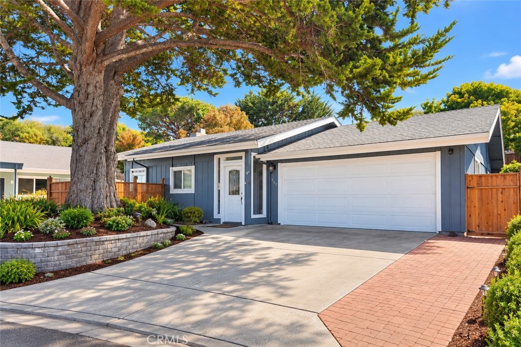 267 Montana
