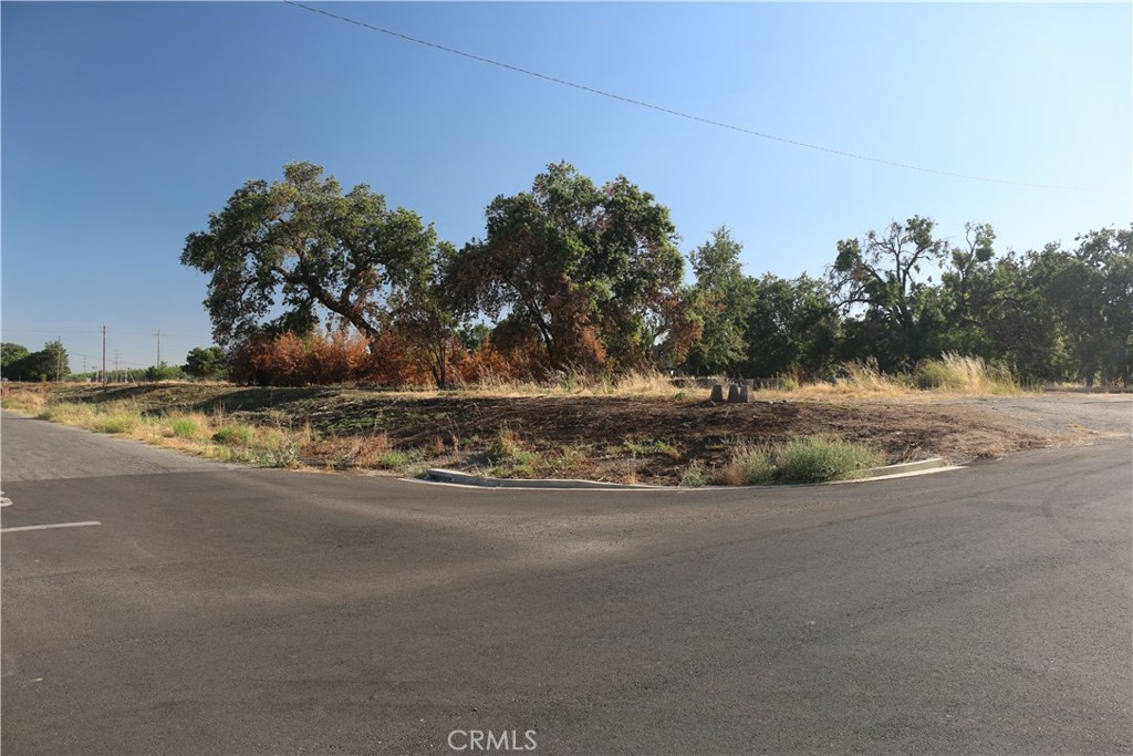 0 Walsh Avenue Property Photo 3