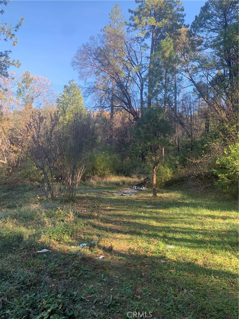 0 Four Trees Road Property Photo 1