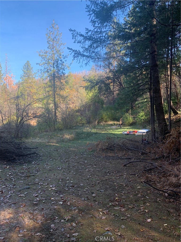 0 Four Trees Road Property Photo 2