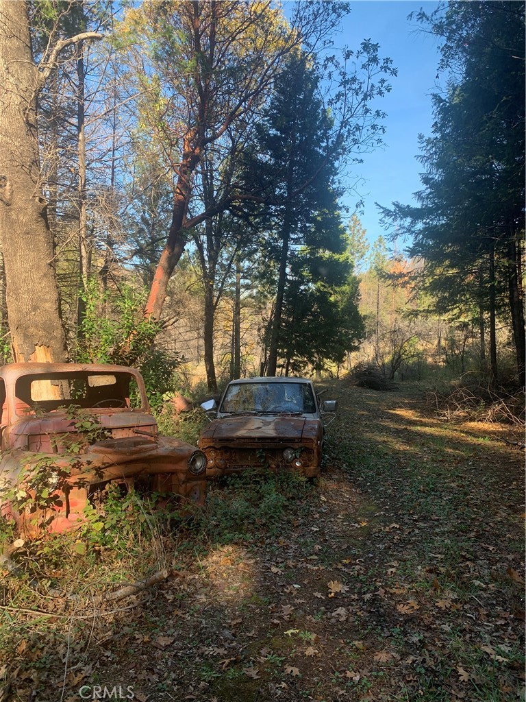 0 Four Trees Road Property Photo 3
