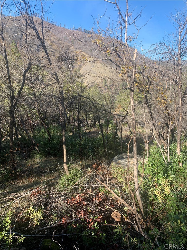 0 Four Trees Road Property Photo 6