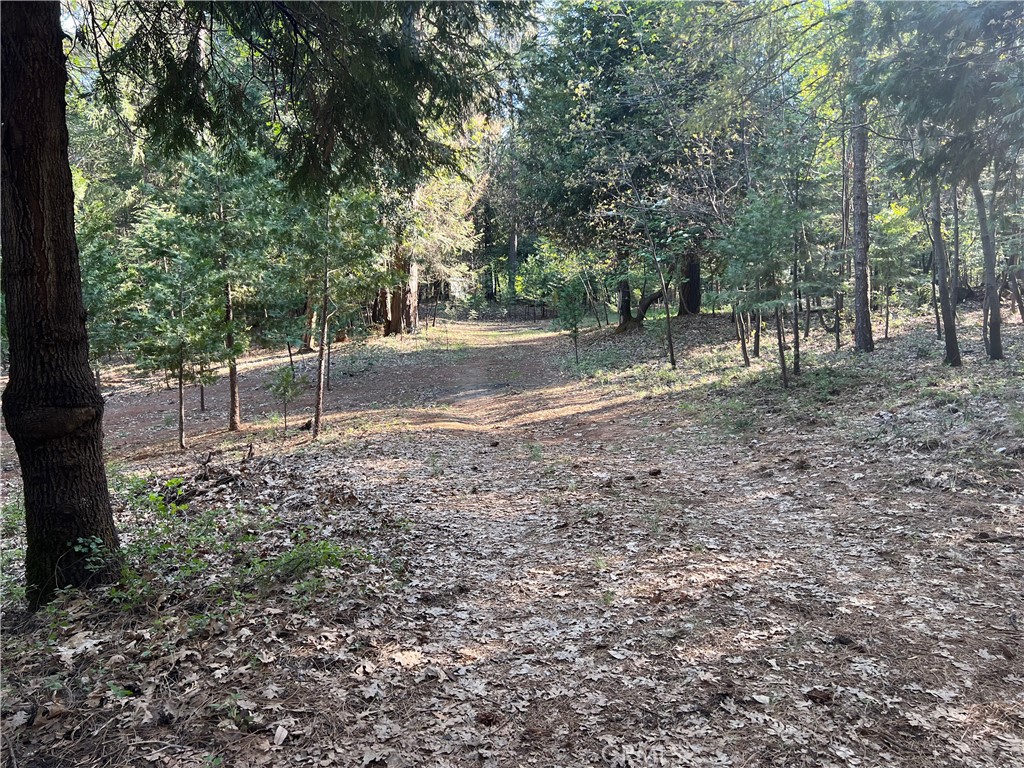 0 Headwaters Road Property Photo 3