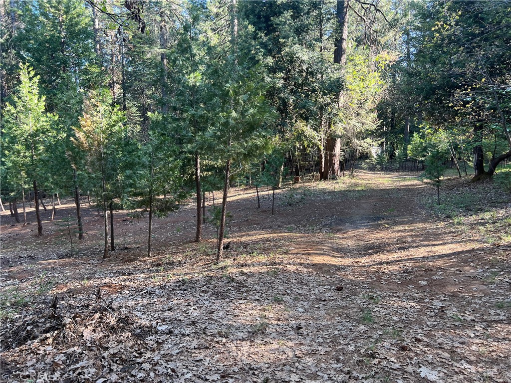 0 Headwaters Road Property Photo 4