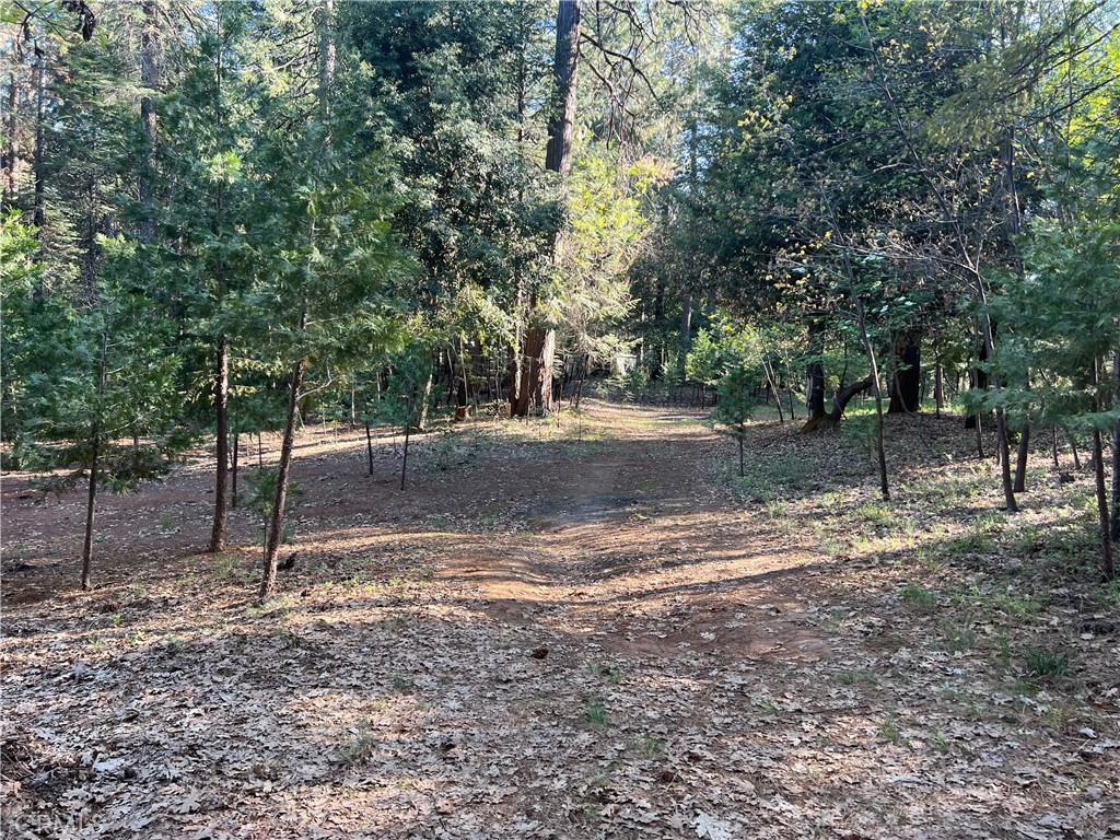 0 Headwaters Road Property Photo 5