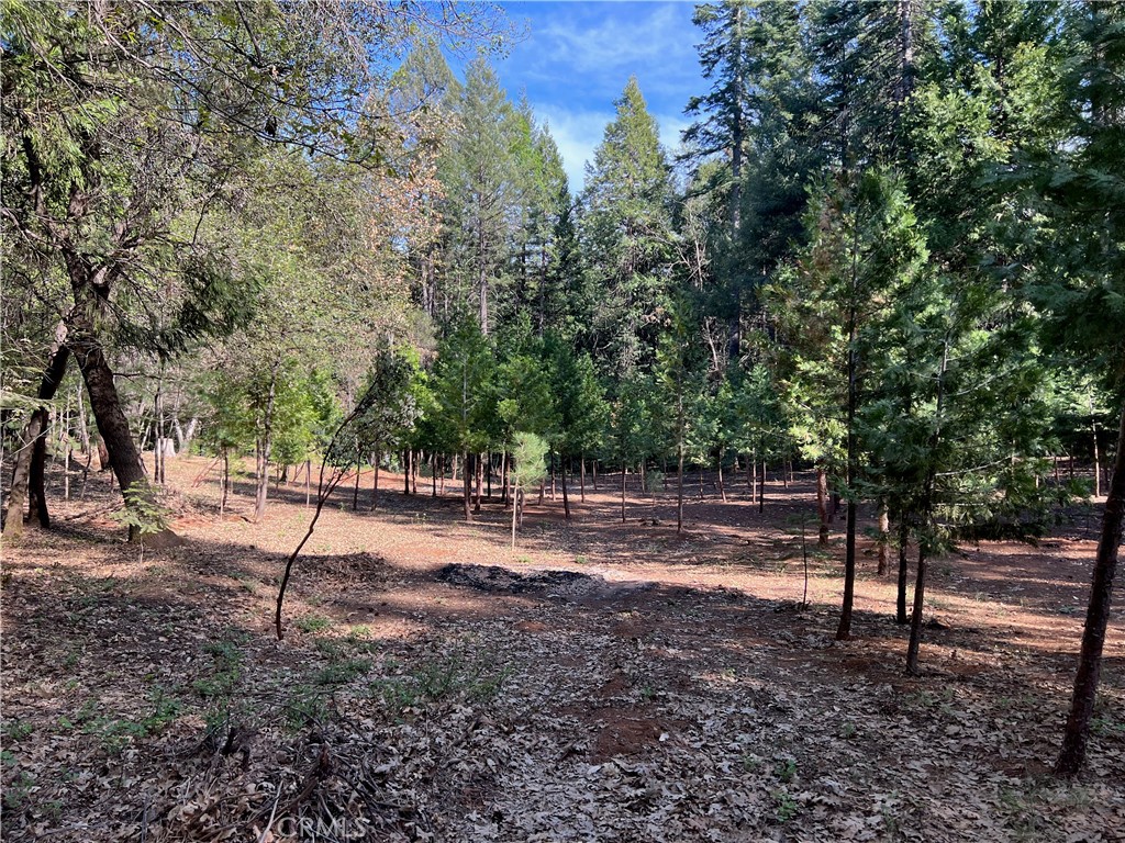 0 Headwaters Road Property Photo 6