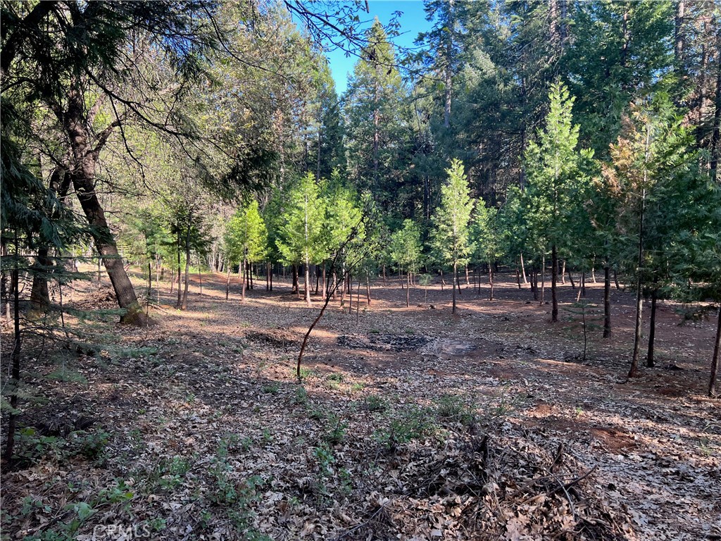 0 Headwaters Road Property Photo 7