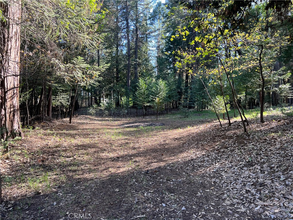 0 Headwaters Road Property Photo 8