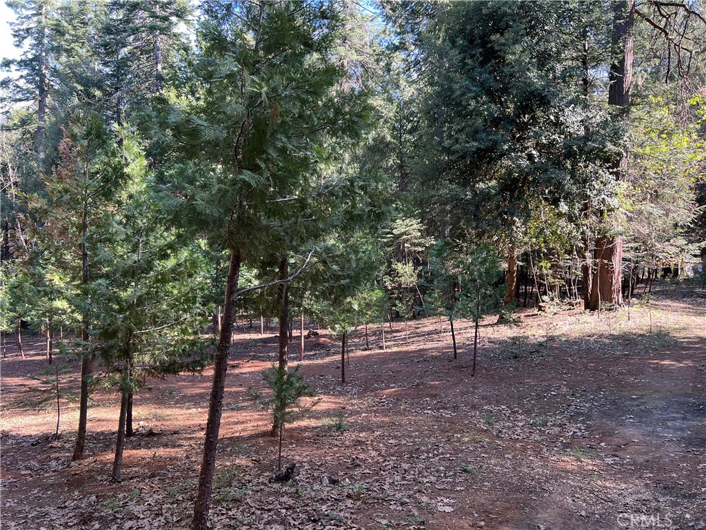 0 Headwaters Road Property Photo 10