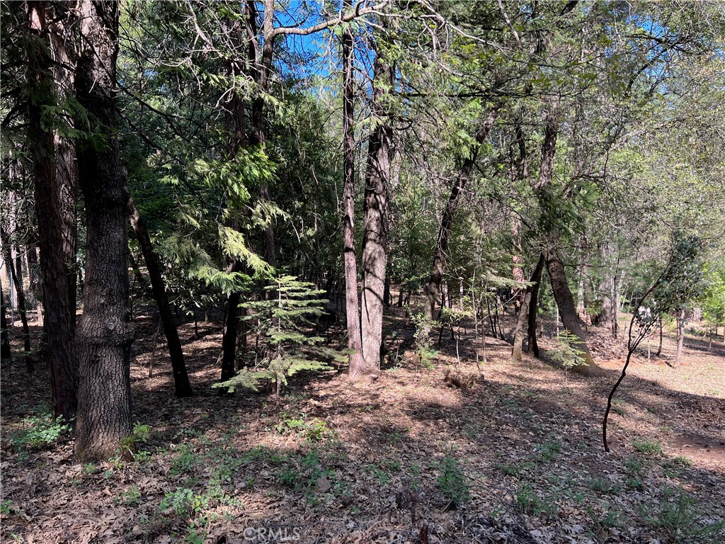 0 Headwaters Road Property Photo 11
